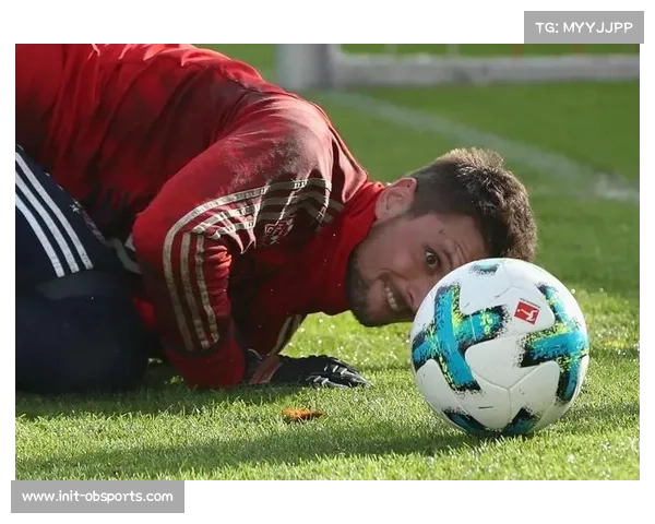 赫拉德基与戴尔伤缺 摩纳哥防线受创实力下降 赫拉德基与戴尔伤缺 摩纳哥防线受创实力下降